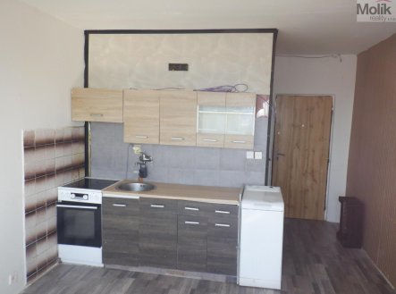 Pronájem bytu, 1+1, 36 m²