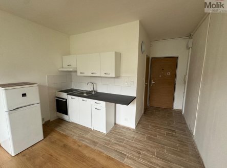 Pronájem bytu, 1+1, 35 m² obrázek