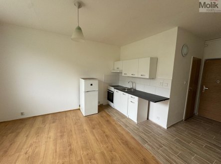 Pronájem bytu, 1+1, 35 m²