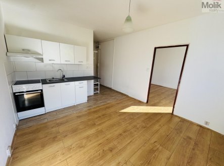 Pronájem bytu, 1+1, 35 m²