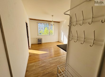 Pronájem bytu, 1+1, 35 m²