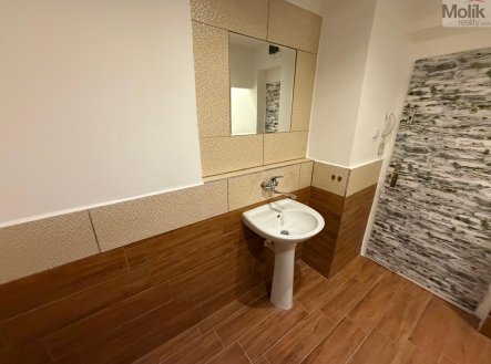 Prodej bytu, 4+1, 109 m²