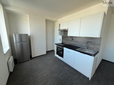 Pronájem bytu, 1+kk, 26 m² obrázek