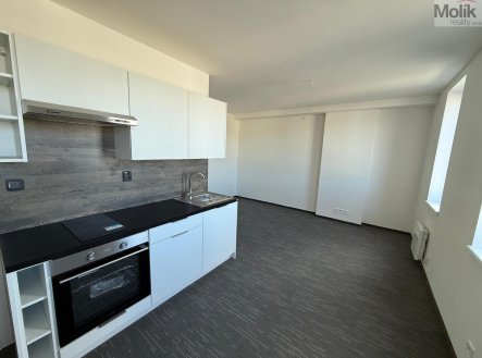 Pronájem bytu, 1+kk, 26 m²