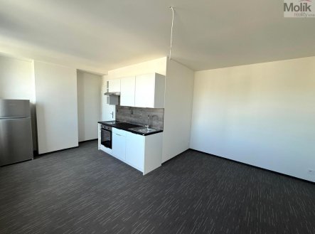 Pronájem bytu, 1+kk, 26 m²