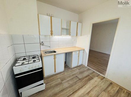 Pronájem bytu, 1+1, 34,2 m² obrázek