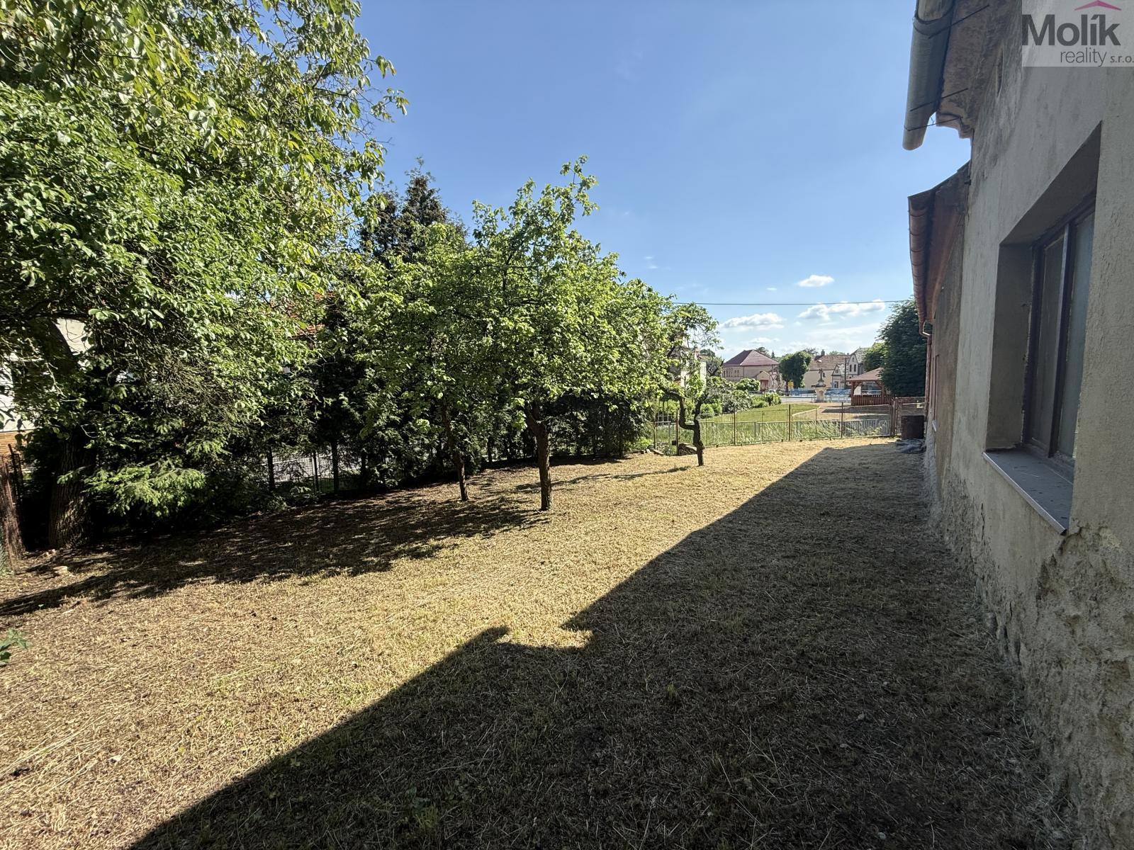 IMG_2699.jpeg