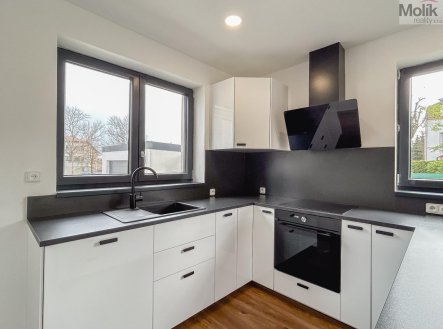 Pronájem domu/vily, 160 m²