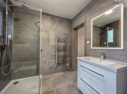 Pronájem domu/vily, 160 m²