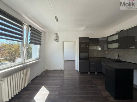 Pronájem bytu, 2+1, 52 m²