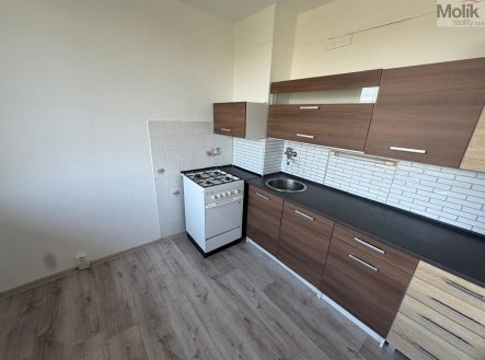 Prodej bytu, 2+1, 48 m² obrázek