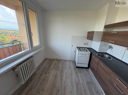 Prodej bytu, 2+1, 48 m²