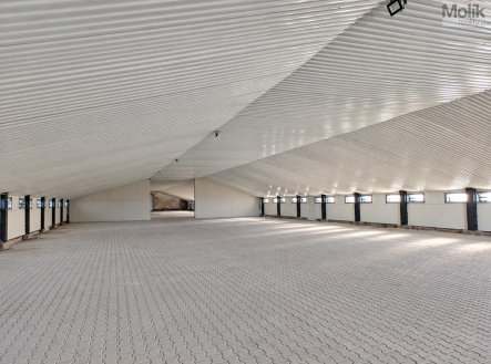 Pronájem skladu, 1 700 m²