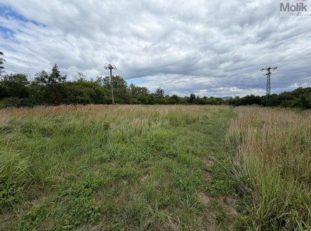 Prodej pozemku pro bydlení, 2 632 m²