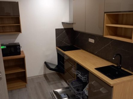 Prodej bytu, 1+kk, 31 m²