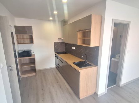 Prodej bytu, 1+kk, 31 m²