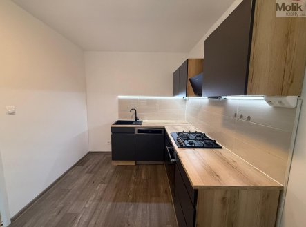 Pronájem bytu, 3+1, 55 m²