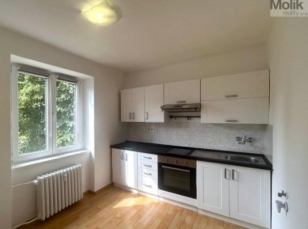 Pronájem bytu, 1+1, 30 m²