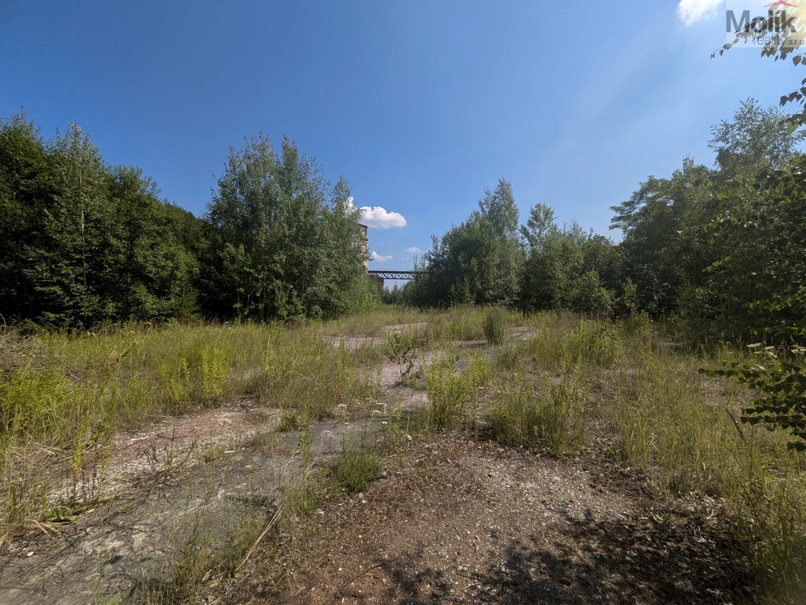 PXL_20260716_131739886