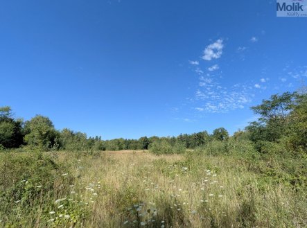 Prodej pozemku pro bydlení, 1 155 m²