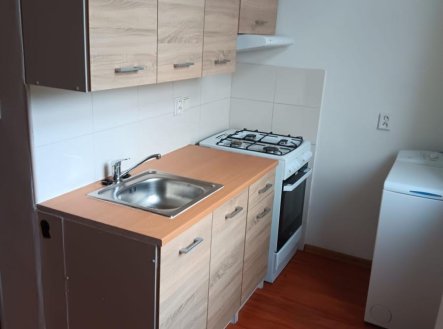 Pronájem bytu, 1+1, 56 m²