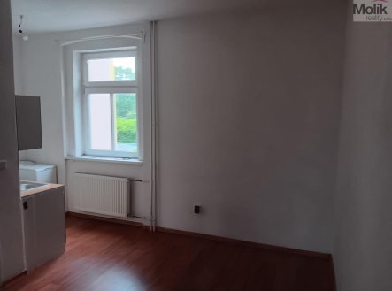 Pronájem bytu, 1+1, 56 m²