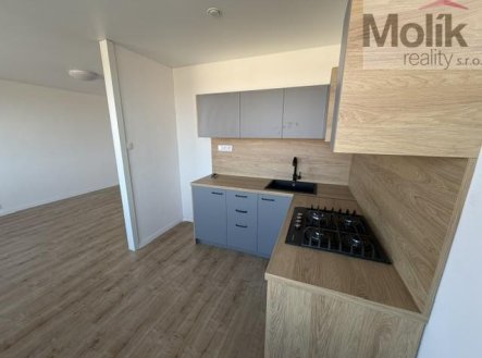 Pronájem bytu, 3+1, 62 m²