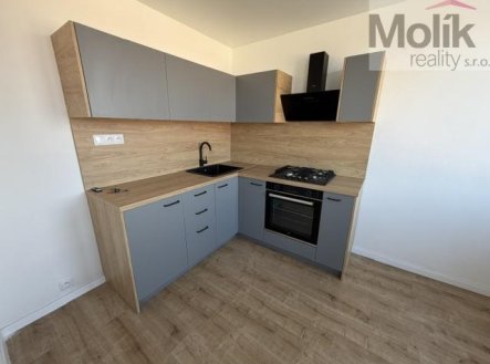 Pronájem bytu, 3+1, 62 m²