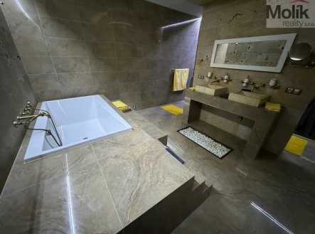 Pronájem domu/vily, 160 m²