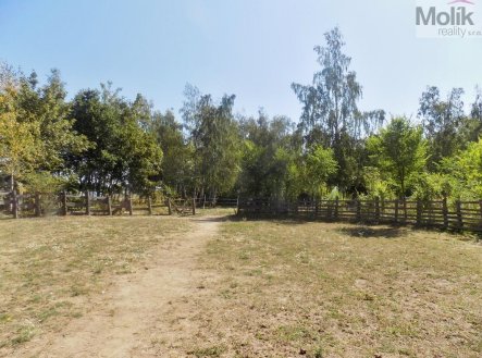 Prodej pozemku pro bydlení, 3 706 m²