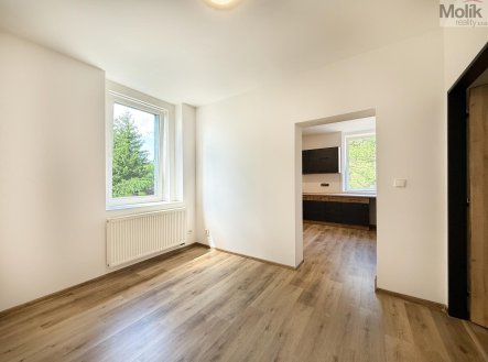 Pronájem bytu, 2+1, 45 m²
