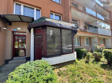 Pronájem obchodní prostory, 17 m²