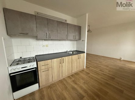 Pronájem bytu, 2+1, 48 m²