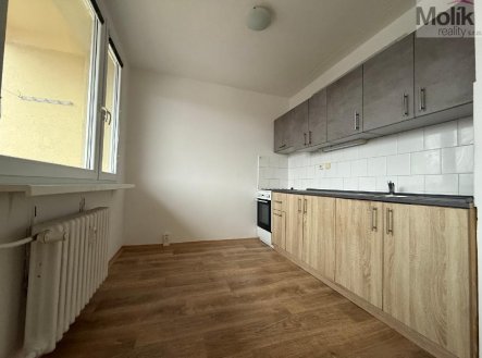 Pronájem bytu, 2+1, 48 m²