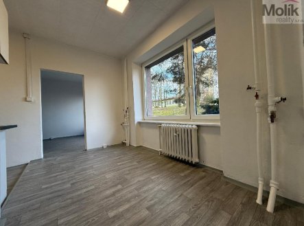 Pronájem bytu, 3+1, 71 m²