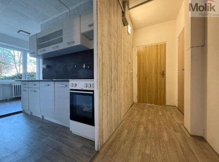 Pronájem bytu, 3+1, 71 m²