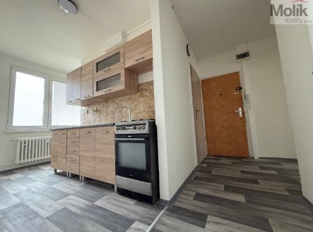 Pronájem bytu, 3+1, 66 m²