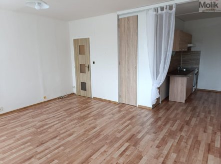 Prodej bytu, 1+kk, 32 m²