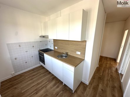 Pronájem bytu, 2+1, 52 m²