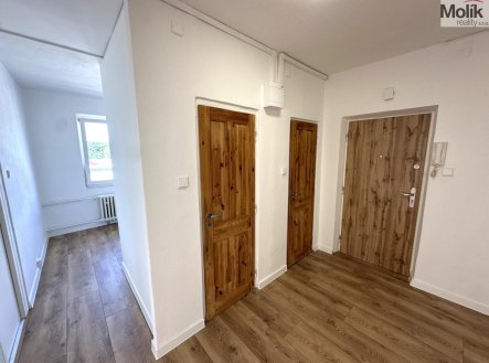 Pronájem bytu, 2+1, 52 m²