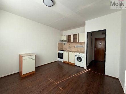 Pronájem bytu, 1+1, 35 m² obrázek