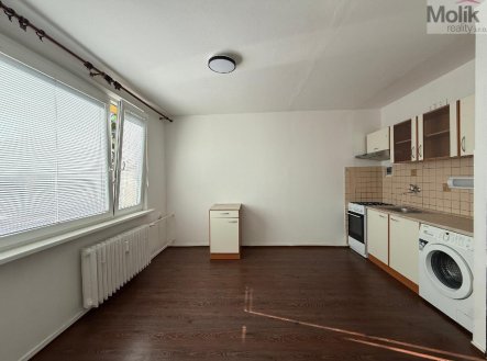 Pronájem bytu, 1+1, 35 m²