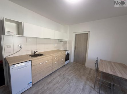 Pronájem bytu, 1+1, 44 m²