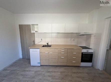 Pronájem bytu, 1+1, 44 m²