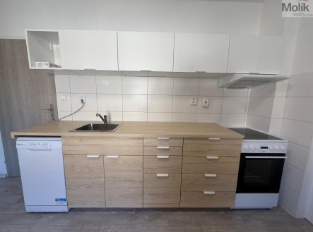 Pronájem bytu, 1+1, 44 m²