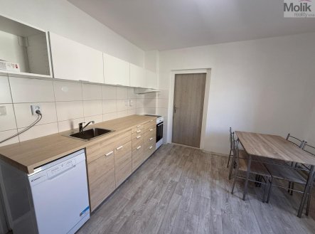 Pronájem bytu, 1+1, 44 m²