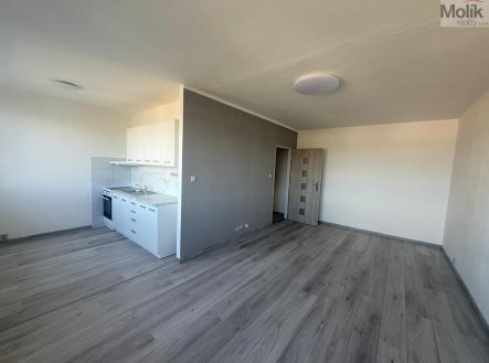 Pronájem bytu, 1+1, 34 m²