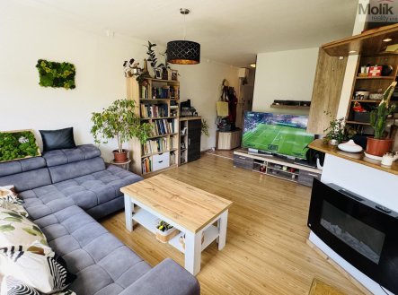 Prodej bytu, 3+1, 67,8 m²