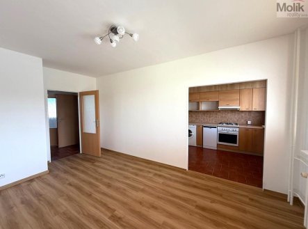 Pronájem bytu, 3+1, 55 m²