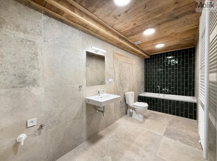 Pronájem bytu, atypický, 135 m²